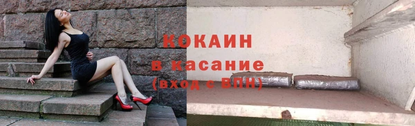 гашик Алексеевка