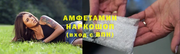 гашик Алексеевка