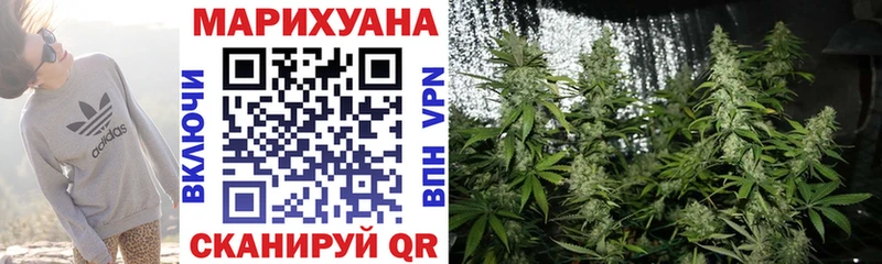 цена   Катав-Ивановск  Бошки марихуана семена 